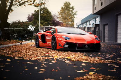 https://www.lambocars.com/wp-content/uploads/2013/11/srautogroup_wild_bull_aventador_dmc_1.jpg