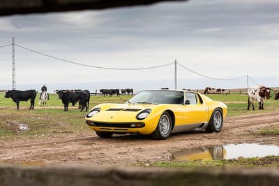 https://www.lambocars.com/wp-content/uploads/2016/12/miura_50th_spain_1.jpg