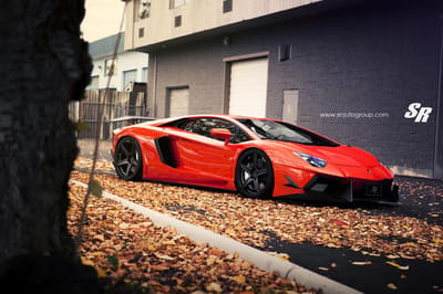 Sr Auto Group Wild Bull Is Another Dmc Aventador Spezial Version 2 Https://www. Lambocars. Com/wp-content/uploads/2020/12/srautogroup_wild_bull_aventador_dmc_5. Jpg