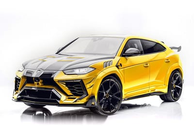 Yellow Mansory Venatus for sale