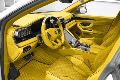 Yellow Mansory Venatus for sale
