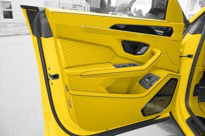 Yellow Mansory Venatus for sale