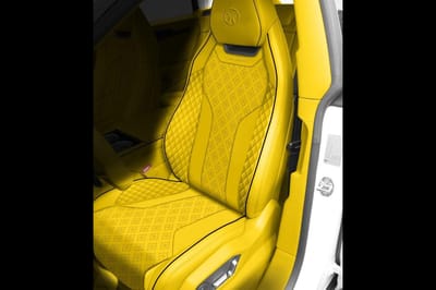 Yellow Mansory Venatus for sale