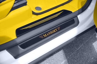 Yellow Mansory Venatus for sale