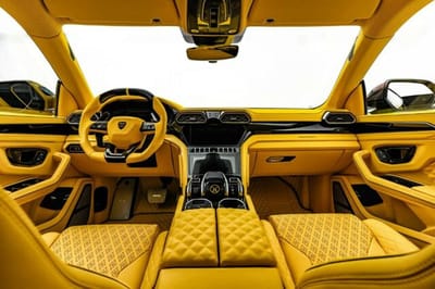 Yellow Mansory Venatus for sale