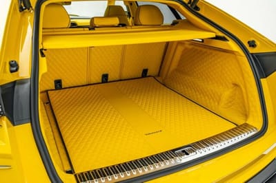 Yellow Mansory Venatus for sale