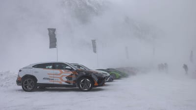 Bulls Playing In The Snow, The Lamborghini Accademia Neve 2 2022 lamborghini accademia neve at livigno 5