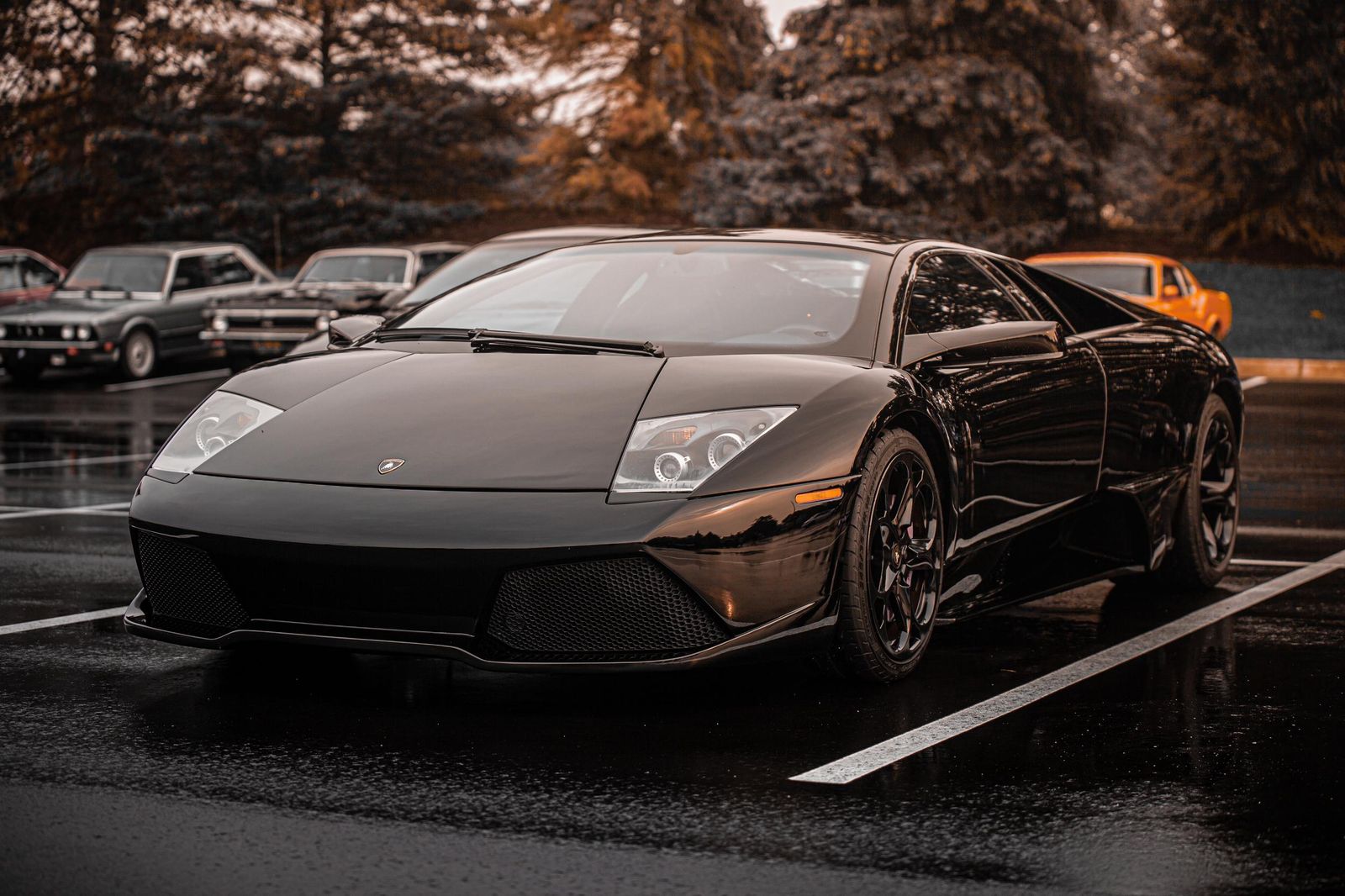Why Do Some Cars Like Lamborghini Not Have License Plates?