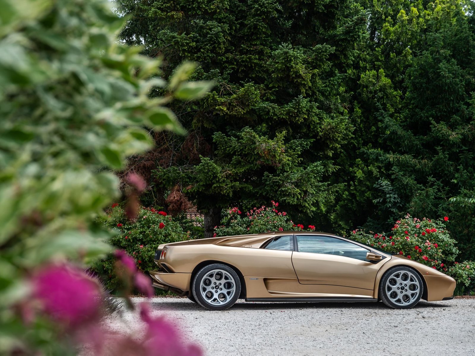 Gold Lamborghini Diablo VT 6.0 parked on a gravel driveway surrounded by lush greenery and flowers