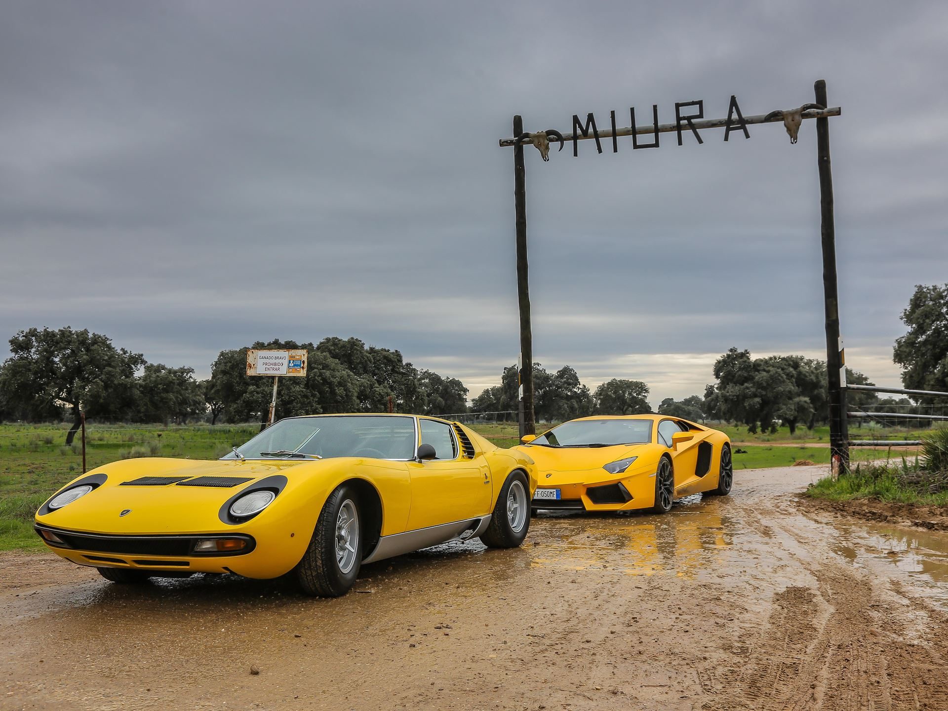 Ten Years Of Polo Storico: How Lamborghini Built The Only Heritage Program That Rebuilds Cars From The Dead 37 Lamborghini polo storico tenth anniversary draft 13465b59 other 011