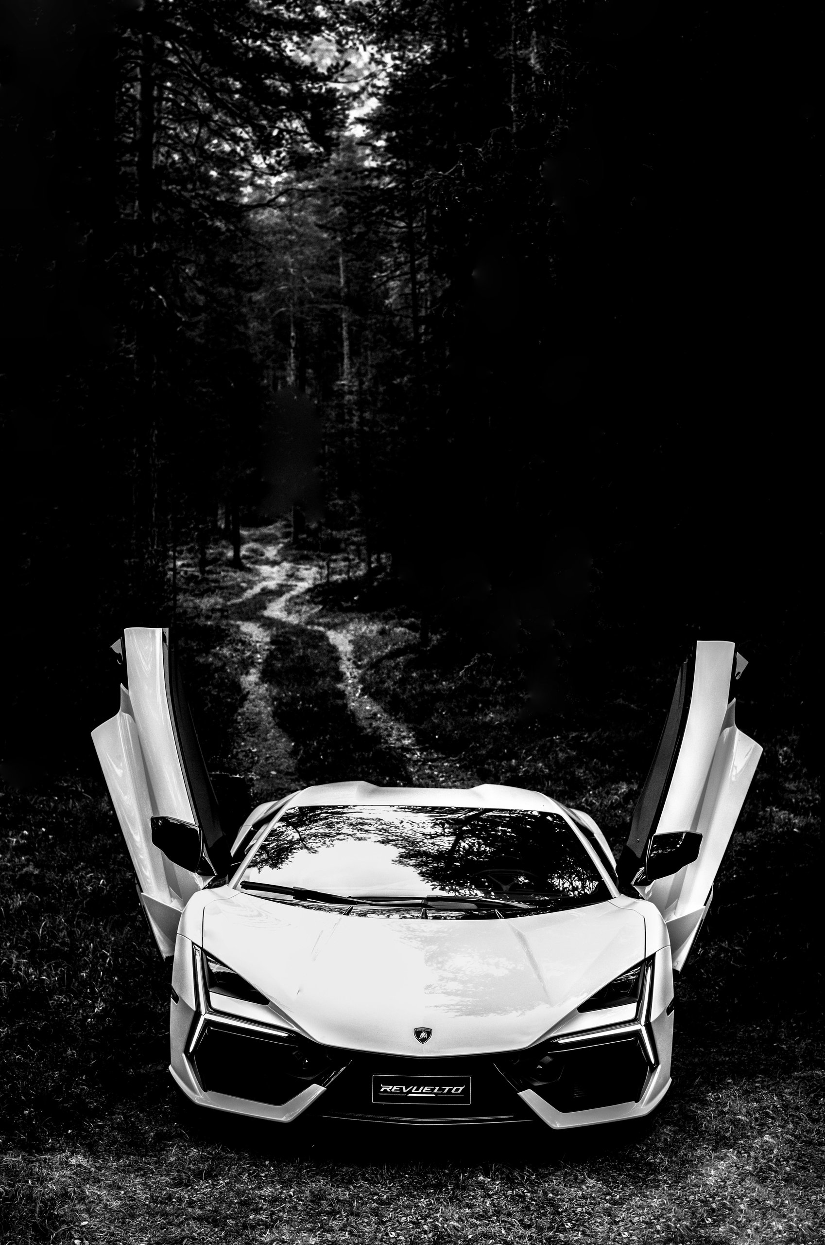 Anton Corbijn Photographs The Revuelto Like A Rock Star, And That'S Exactly Lamborghini'S Point 7 Black and white photograph of a white lamborghini revuelto with scissor doors open on a grassy forest path by anton corbijn