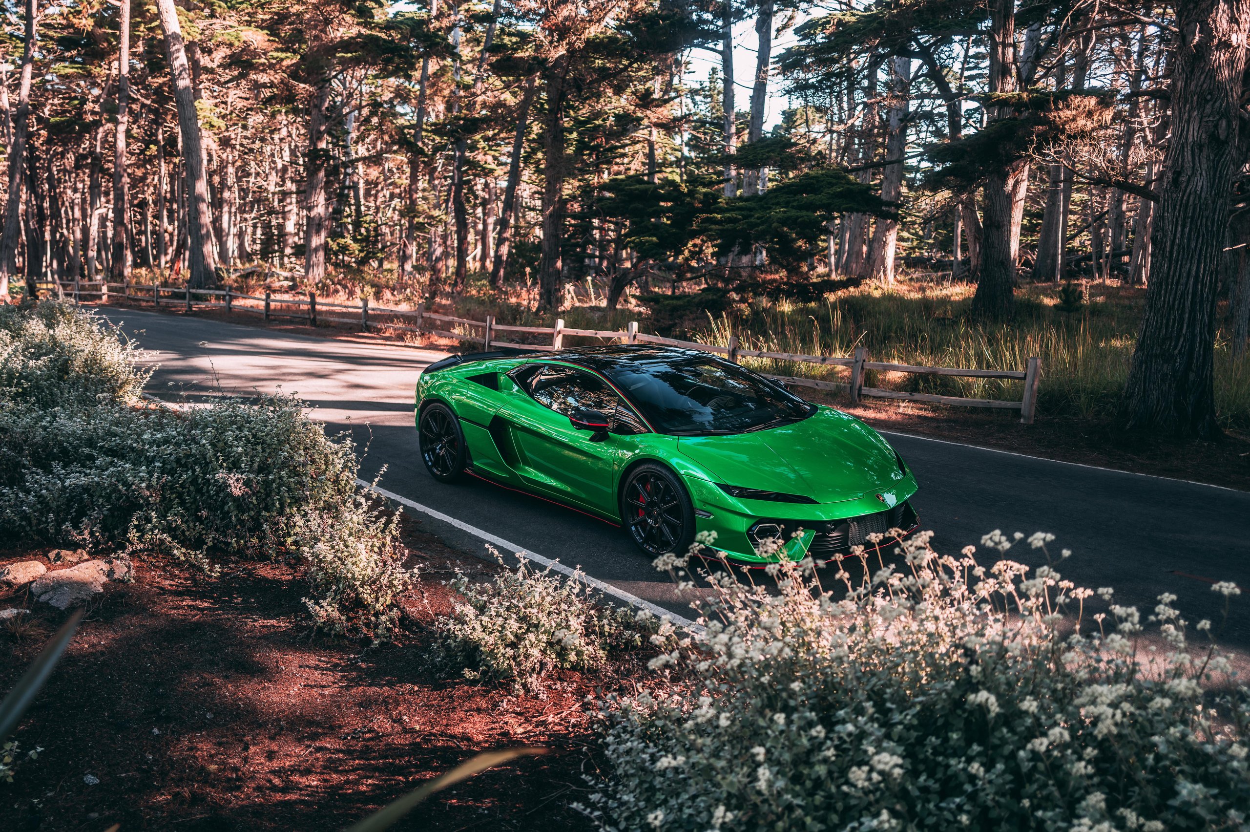 A vibrant green lamborghini revuelto driving along a winding road through a cypress forest