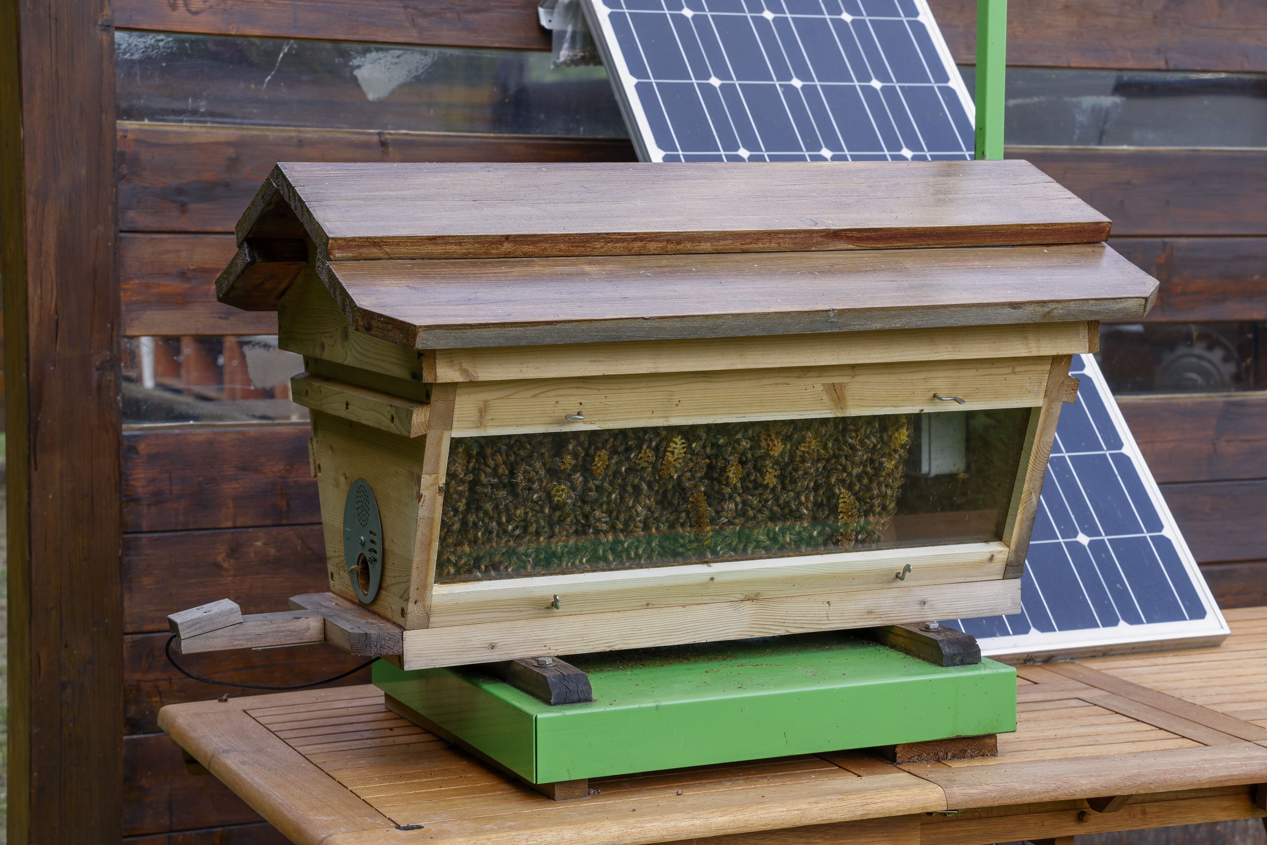 Lamborghini'S 600,000 Bees Are Quietly Monitoring The Air Around Sant'Agata Bolognese 3 Wooden observation beehive with clear glass window showing bees inside, solar panels visible in background at lamborghini park