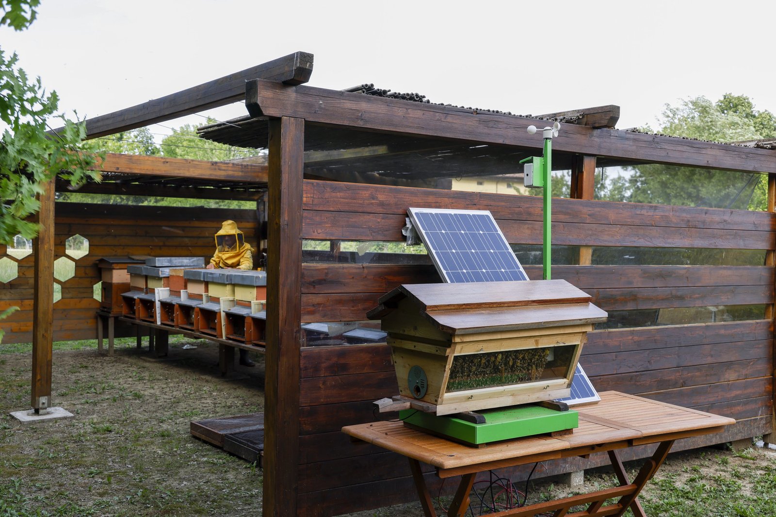 Wide shot of Lamborghini's apiary in Lamborghini Park, showing multiple beehives, solar panels, and a beekeeper tending the hives