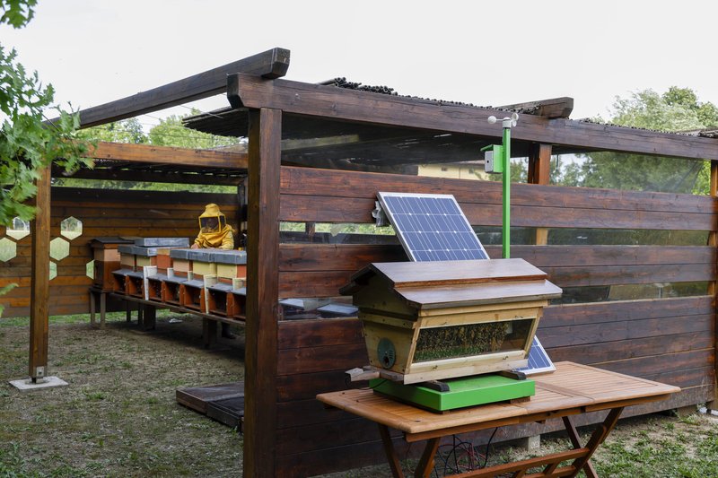 Wide shot of Lamborghini's apiary in Lamborghini Park, showing multiple beehives, solar panels, and a beekeeper tending the hives