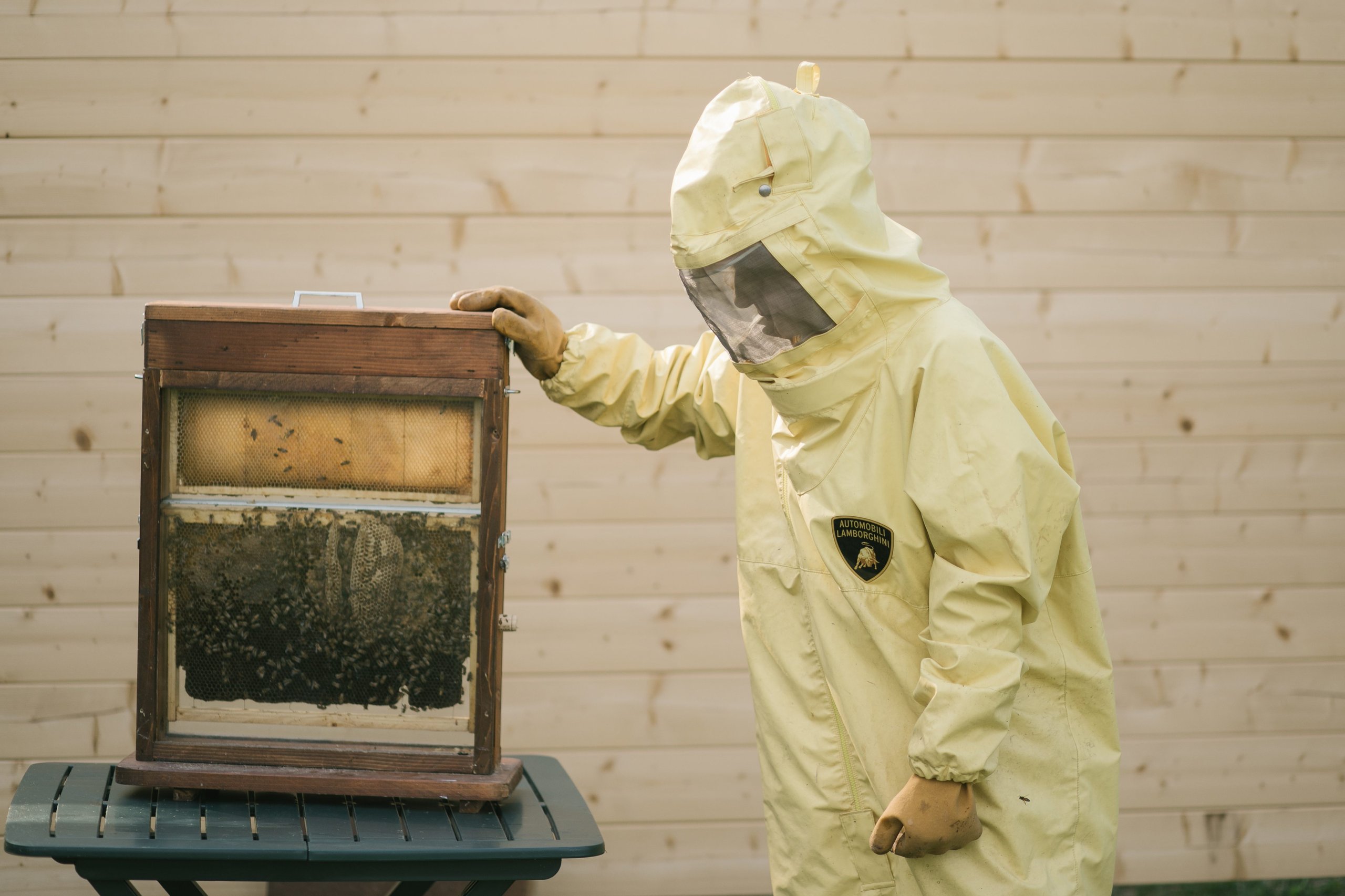 Lamborghini'S 600,000 Bees Are Quietly Monitoring The Air Around Sant'Agata Bolognese 13 Lamborghini bee biomonitoring project update draft bc633f10 lifestyle 006 scaled