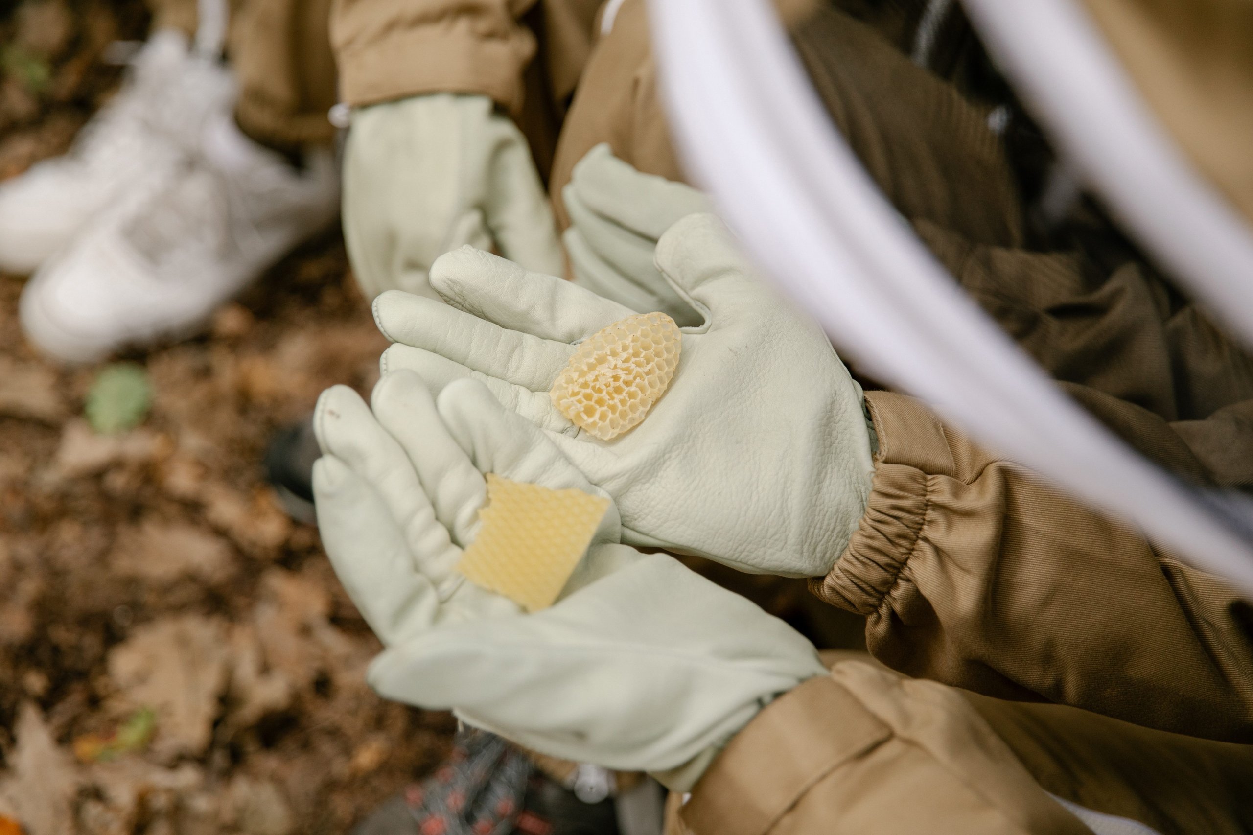 600,000 Bees And Sim Cards: How Lamborghini Turned Its Factory Grounds Into A Living Environmental Lab 17 Lamborghini bee monitoring digital hives draft 8339f1e1 detail 008 scaled
