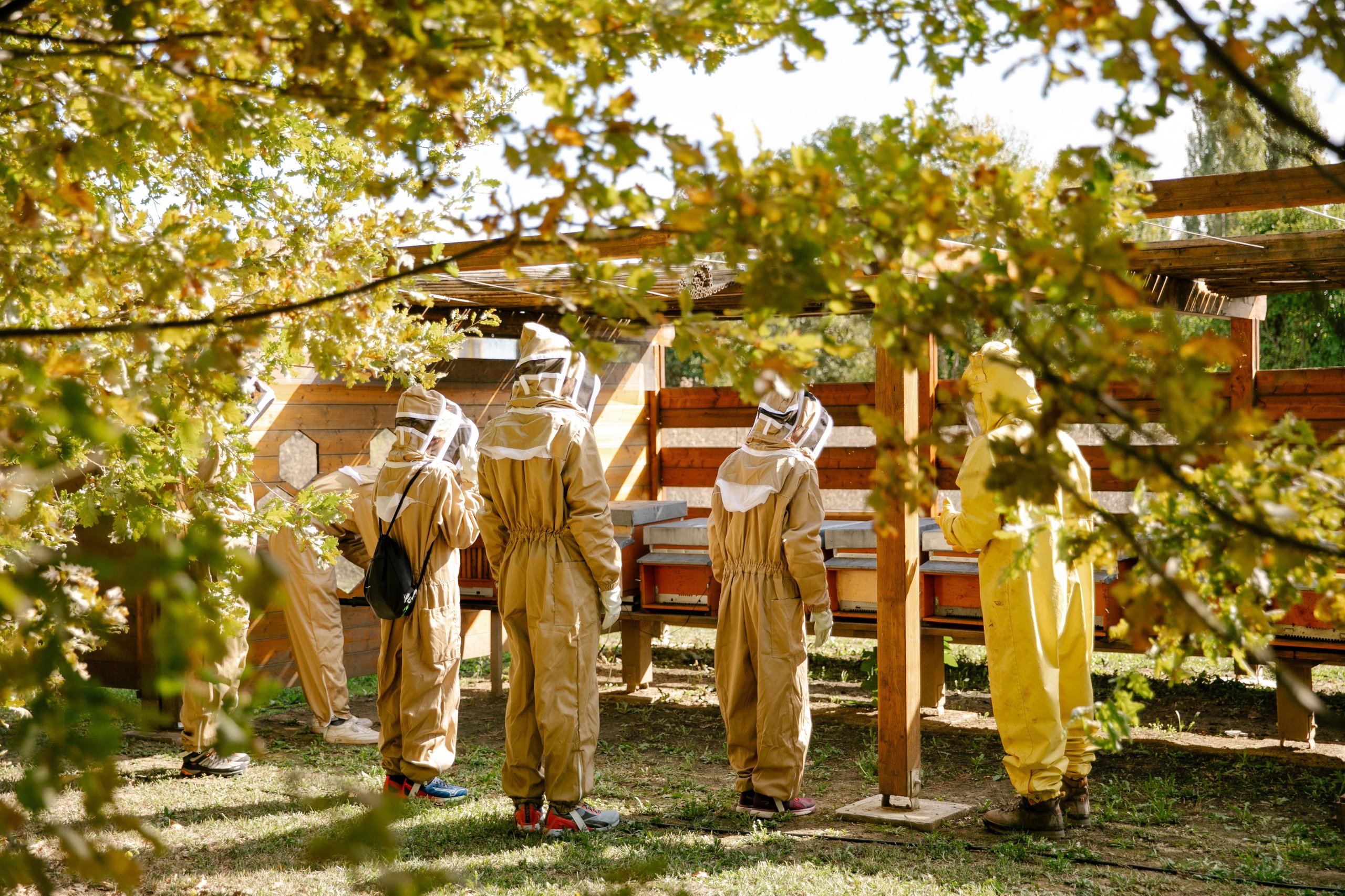 600,000 Bees And Sim Cards: How Lamborghini Turned Its Factory Grounds Into A Living Environmental Lab 7 A group of people in beekeeping suits observing beehives in a shaded outdoor area at lamborghini park