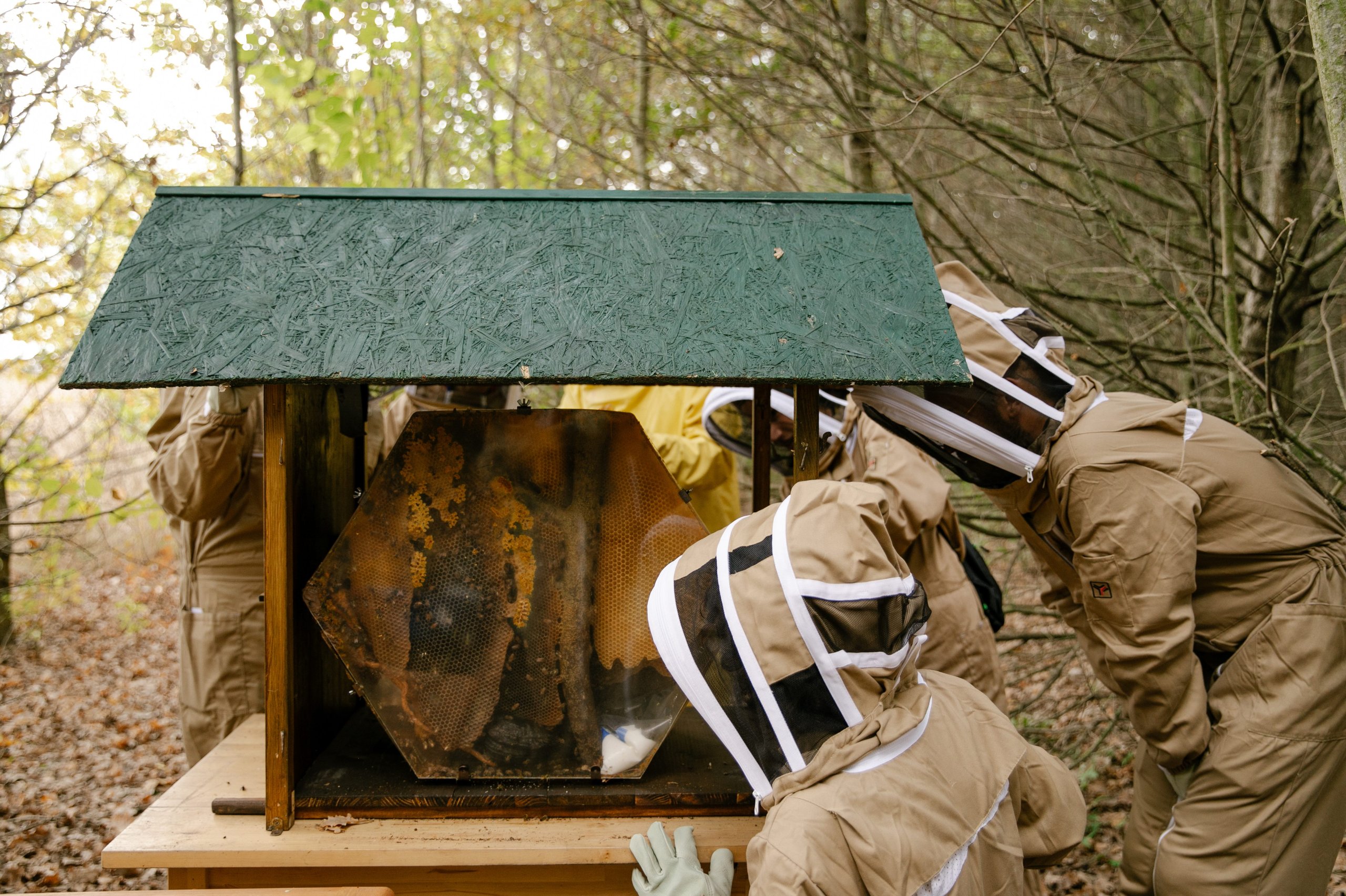 600,000 Bees And Sim Cards: How Lamborghini Turned Its Factory Grounds Into A Living Environmental Lab 15 Lamborghini bee monitoring digital hives draft 8339f1e1 lifestyle 007 scaled