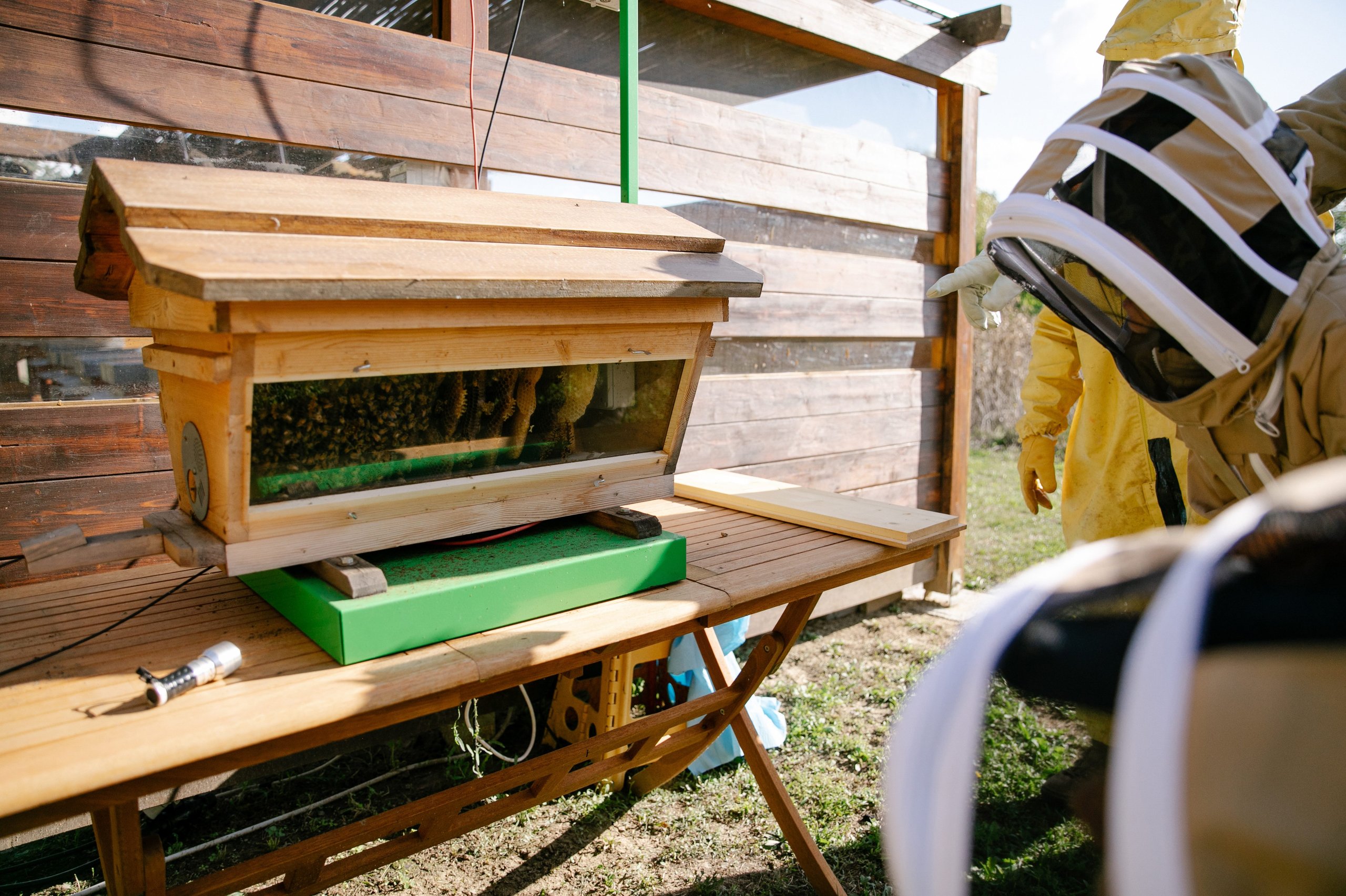 600,000 Bees And Sim Cards: How Lamborghini Turned Its Factory Grounds Into A Living Environmental Lab 21 Lamborghini bee monitoring digital hives draft 8339f1e1 lifestyle 010 scaled