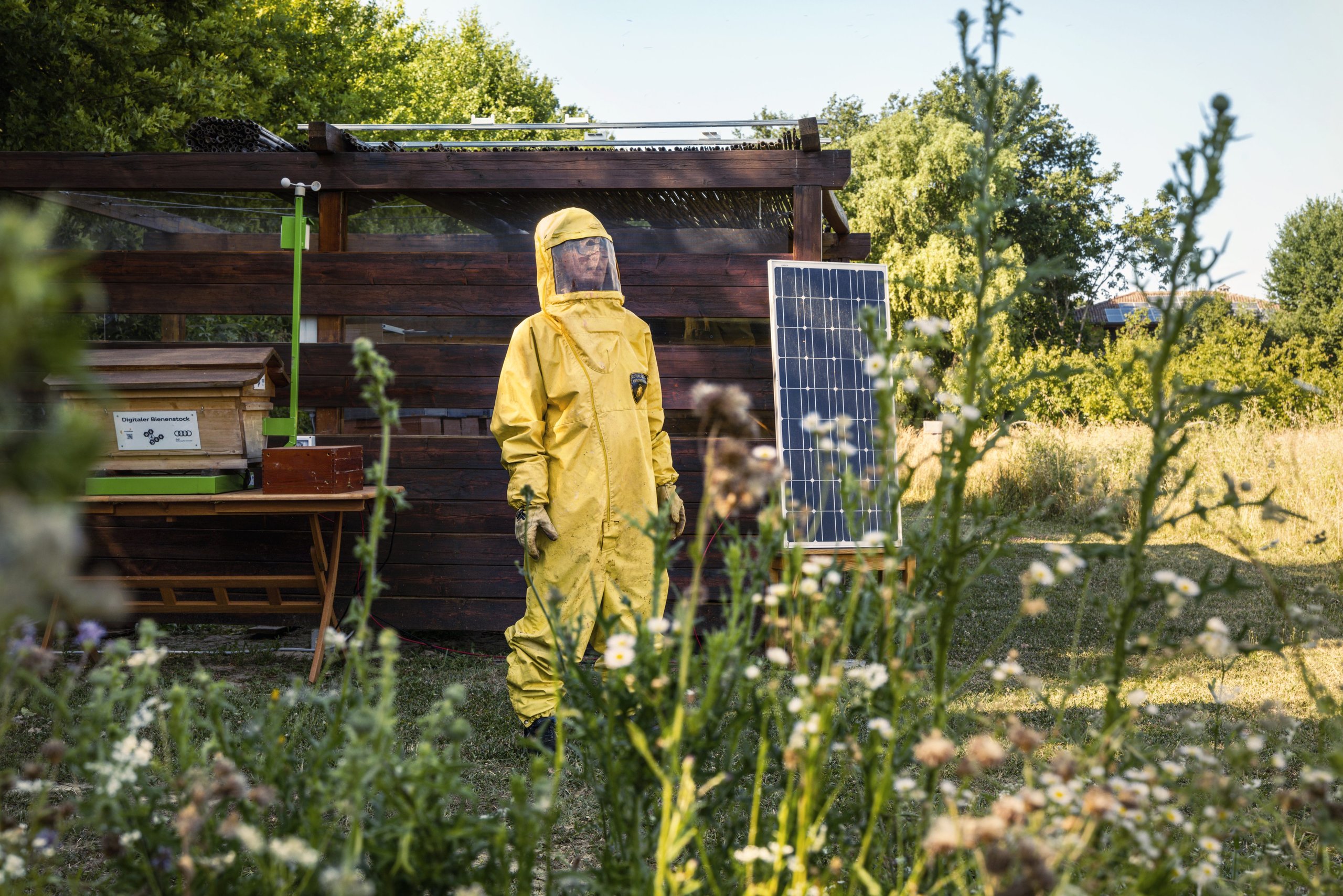 600,000 Bees And Sim Cards: How Lamborghini Turned Its Factory Grounds Into A Living Environmental Lab 25 Lamborghini bee monitoring digital hives draft 8339f1e1 lifestyle 012 scaled
