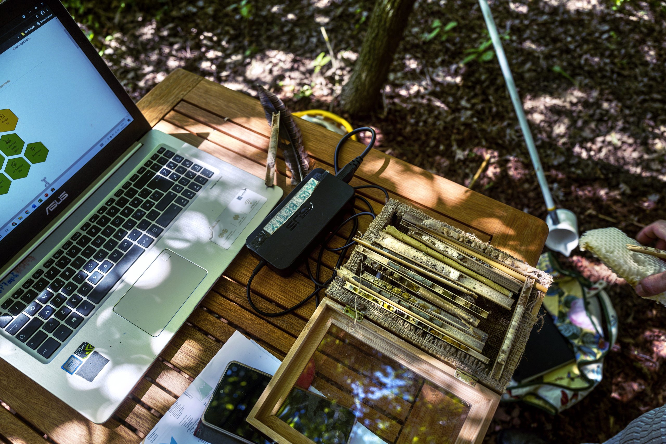 600,000 Bees And Sim Cards: How Lamborghini Turned Its Factory Grounds Into A Living Environmental Lab 27 Lamborghini bee monitoring digital hives draft 8339f1e1 other 013 scaled