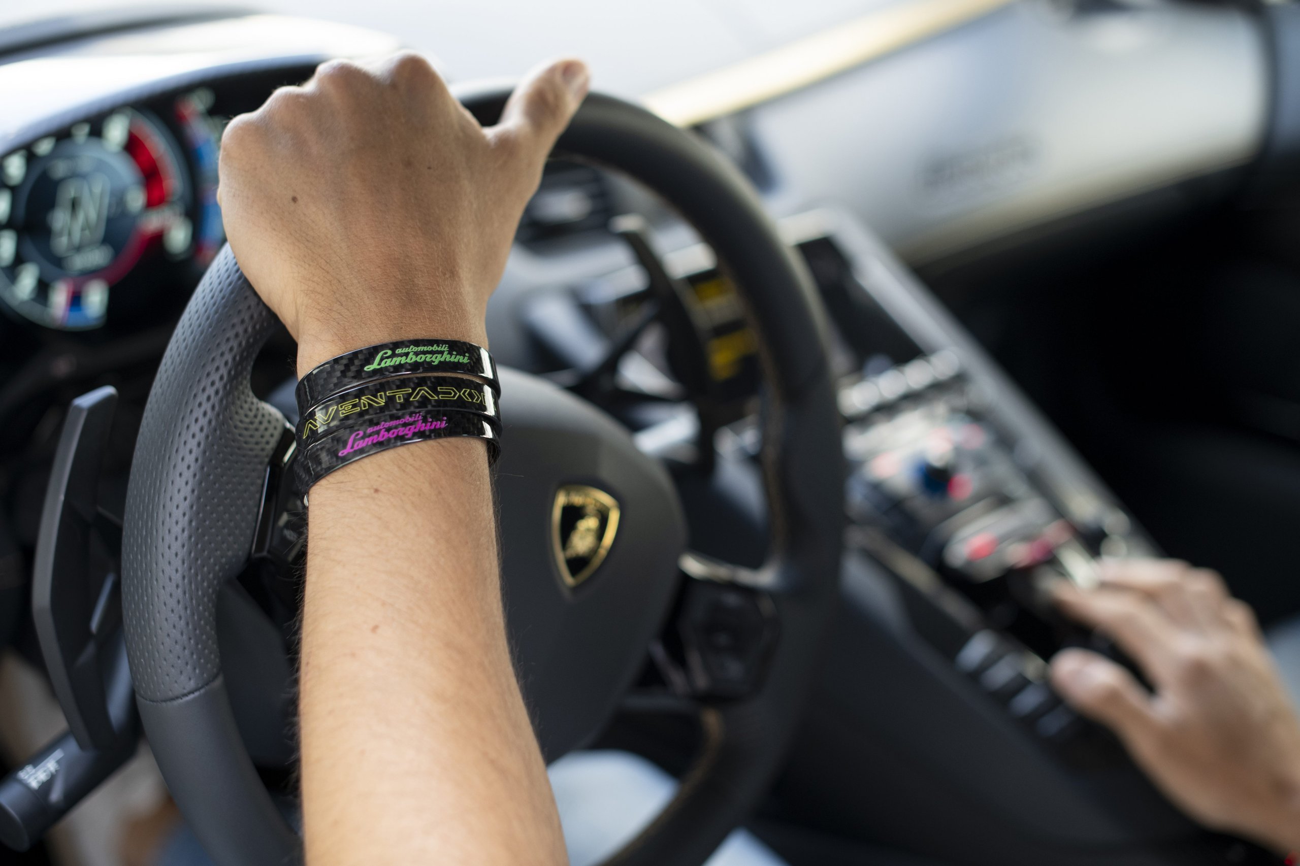 Bees, Biogas, And The Raging Bull: How Lamborghini'S Factory Sustainability Protects Its Performance Future 15 Lamborghini environmental policy focu5on sust draft c2206b6e interior 007 scaled