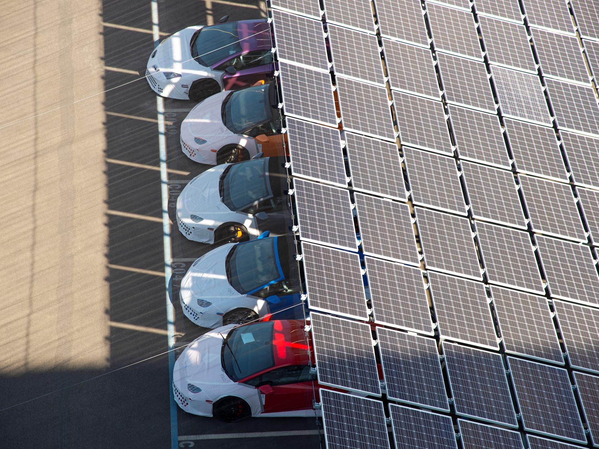 Bees, Biogas, And The Raging Bull: How Lamborghini'S Factory Sustainability Protects Its Performance Future 23 Lamborghini environmental policy focu5on sust draft c2206b6e other 011