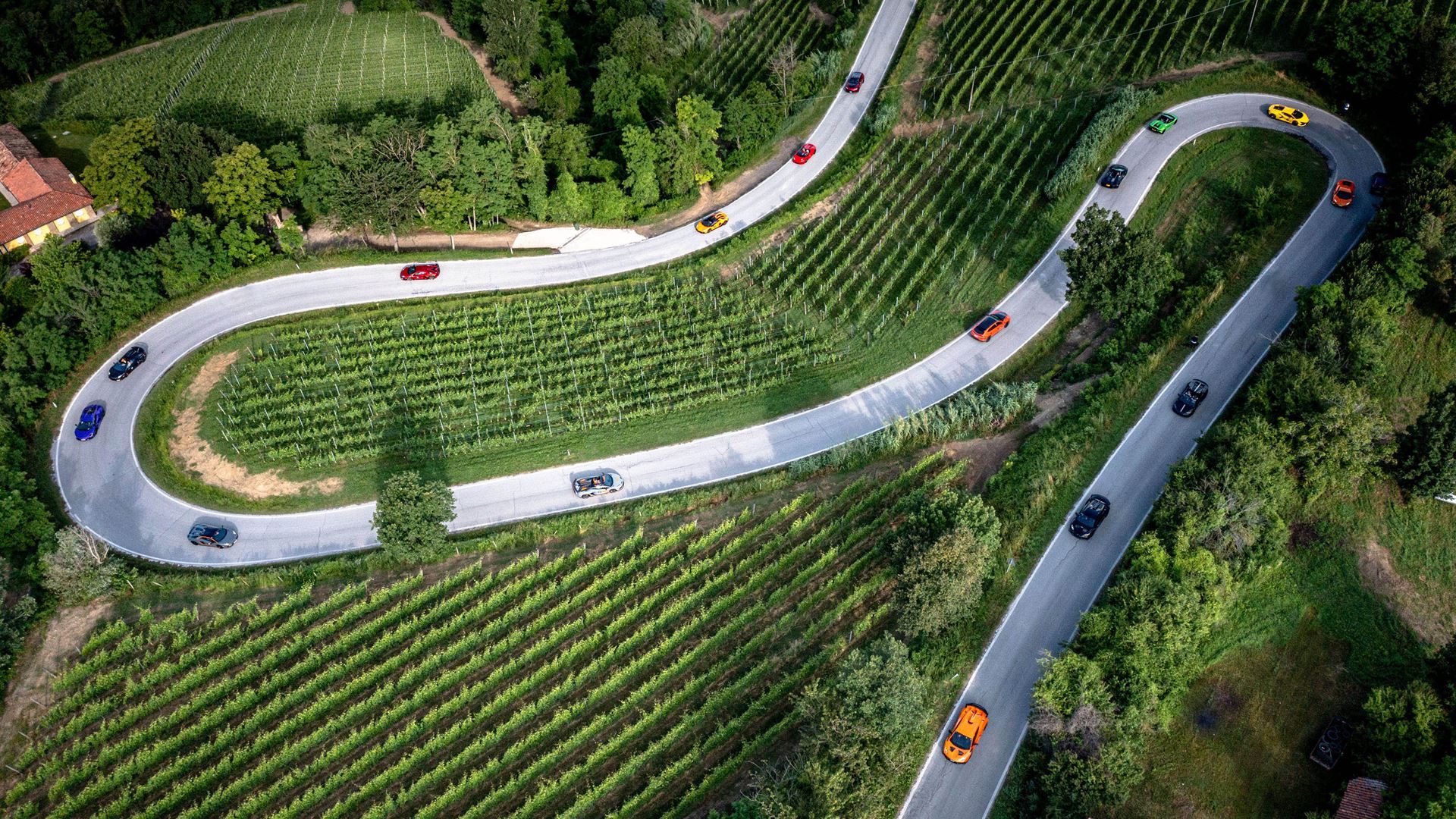 Aerial view of colorful lamborghini supercars driving along a winding road through lush green vineyards during an esperienza giro event