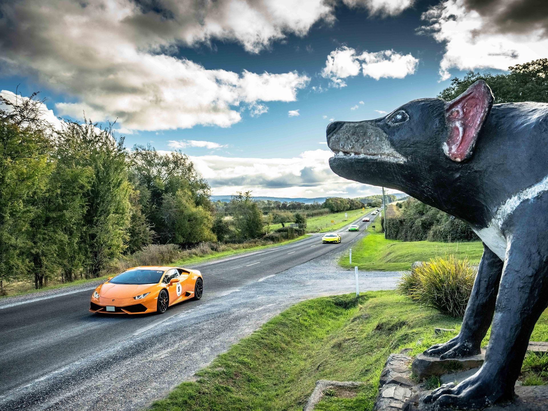 Lamborghini Took 40 Owners And 20 Supercars To Tasmania, And The Real Product Was The Trip Itself 13 An orange lamborghini huracan drives on a rural tasmanian road past a large tasmanian devil statue with other lamborghinis visible in the distance