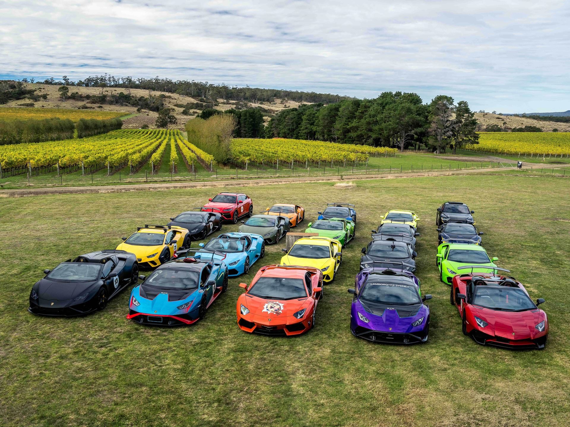 Lamborghini Took 40 Owners And 20 Supercars To Tasmania, And The Real Product Was The Trip Itself 11 A large collection of colorful lamborghinis parked in rows on a grassy field adjacent to a tasmanian vineyard