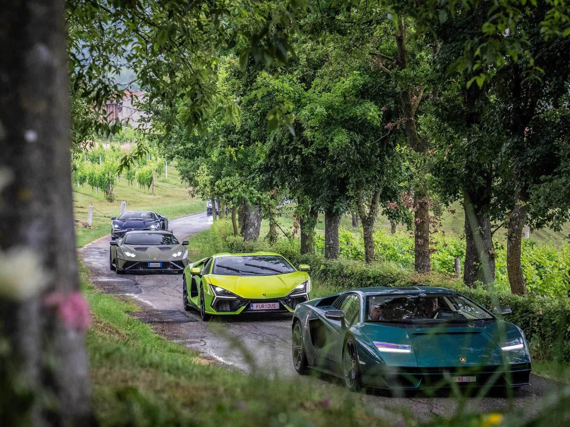 Line of lamborghini supercars driving on a winding road lined with trees and vineyards in piedmont