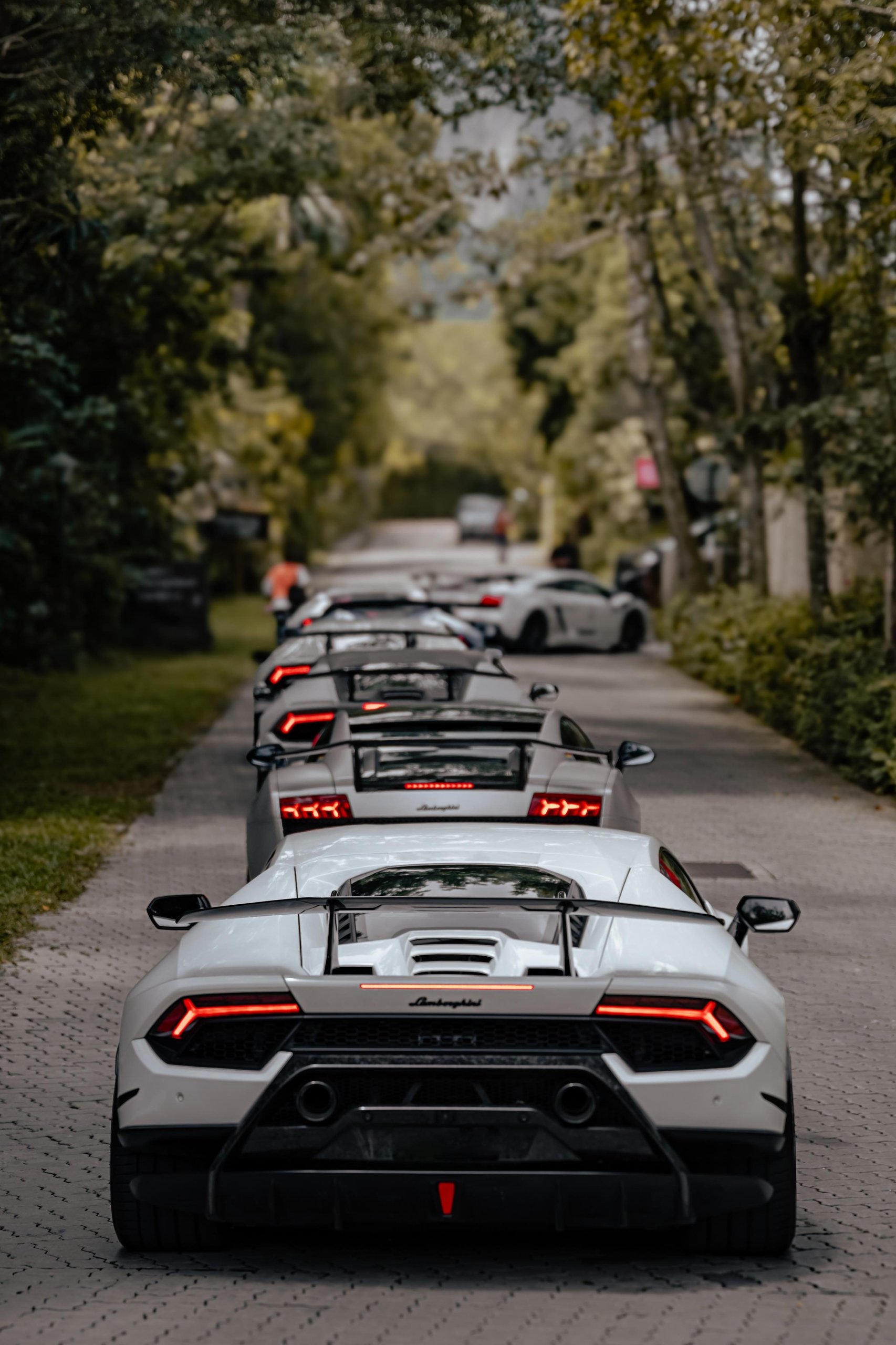 Lamborghini'S First Southeast Asia Esperienza Giro Turned Malaysia Into A Rolling 60Th Birthday Party 5 Line of lamborghini huracáns driving down a tree-lined road viewed from behind
