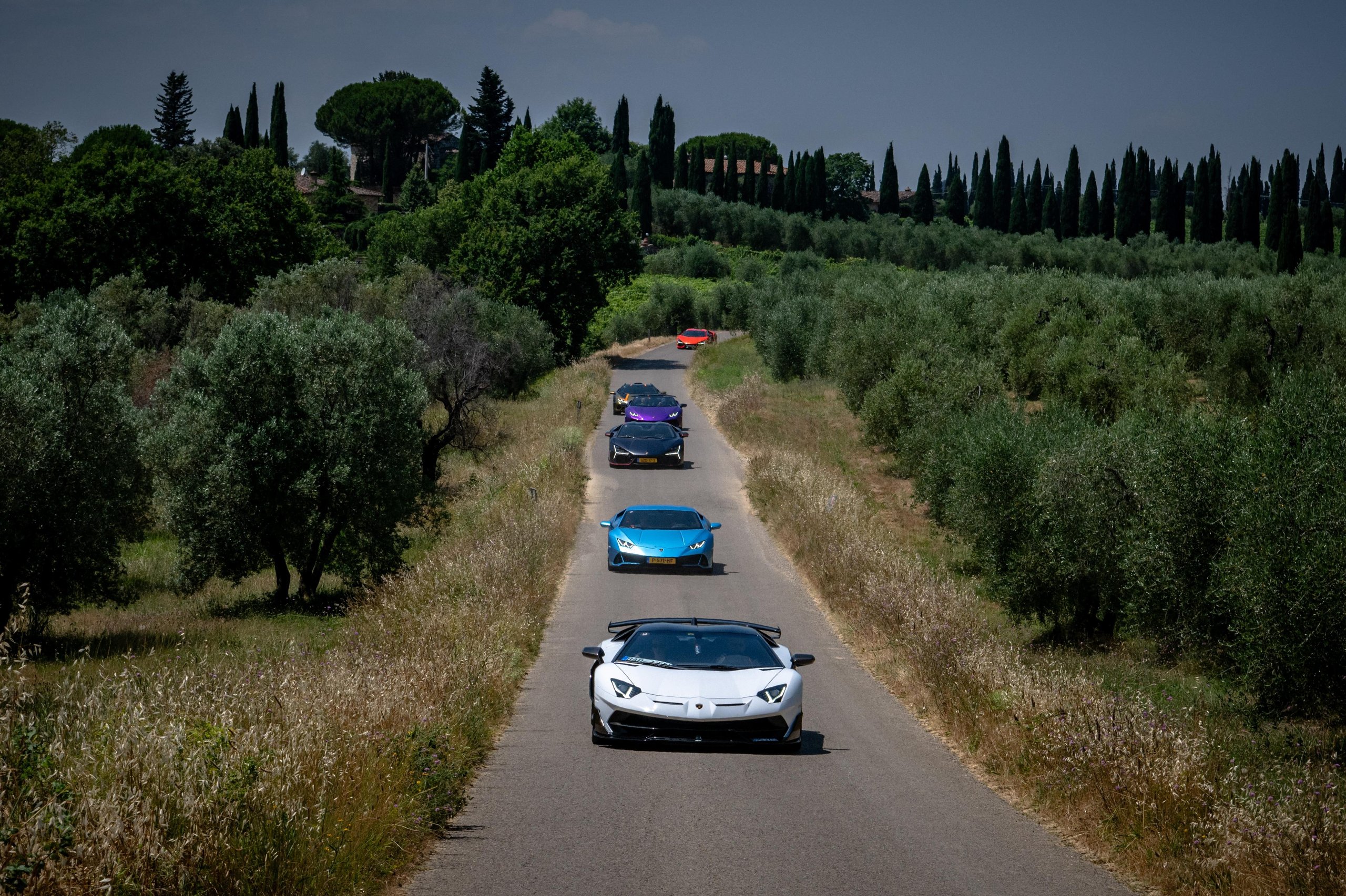 Convoy of colorful lamborghini supercars driving down a narrow tuscan road lined with olive and cypress trees
