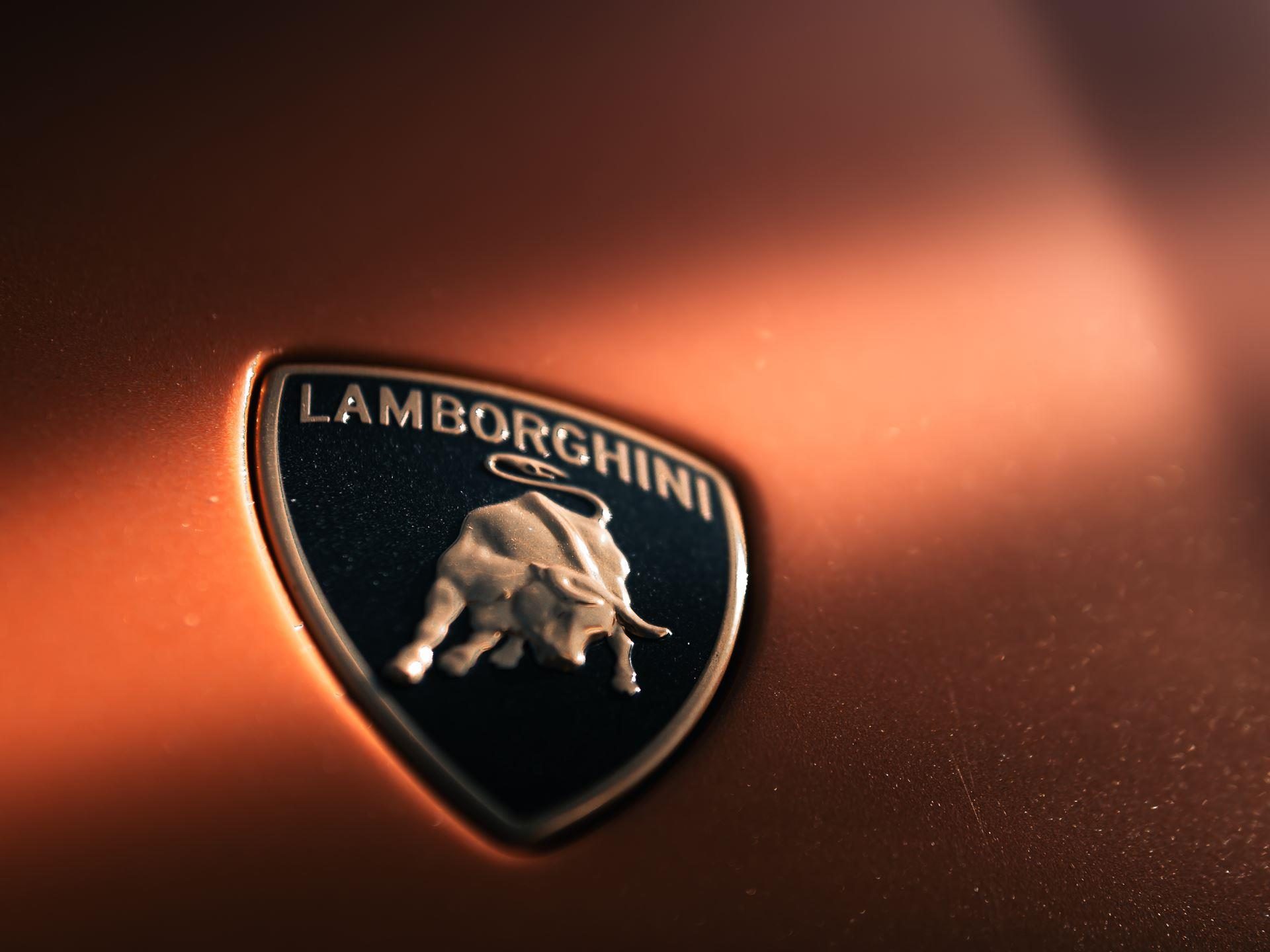 Close-up of metallic lamborghini bull emblem on bronze-orange painted surface