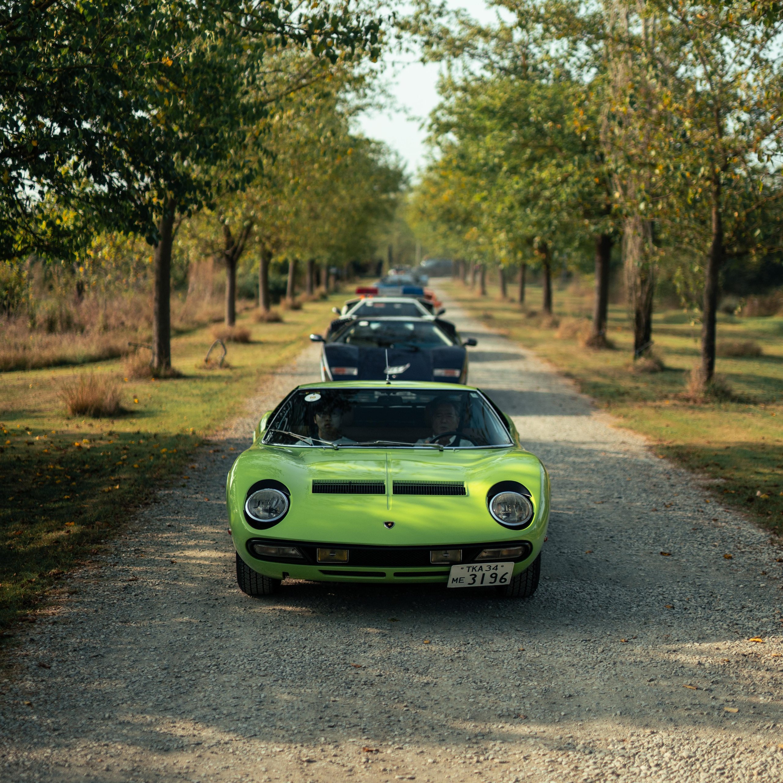 How Lamborghini Turned Italy'S Roads Into A Rolling Museum For Its 60Th Anniversary 3 A vibrant green lamborghini miura leads a convoy of classic lamborghinis down a tree-lined gravel road on a sunny day during the giro polo storico