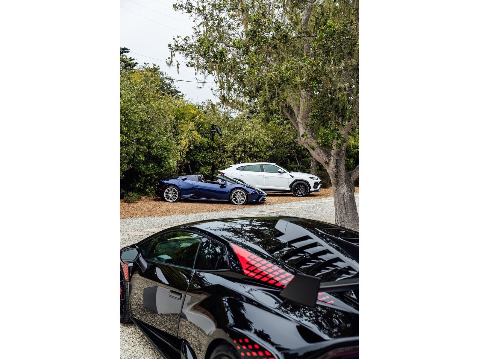 A black Lamborghini Sián FKP 37, blue Huracán Evo Spyder, and white Urus displayed outdoors at the Lamborghini Lounge Monterey