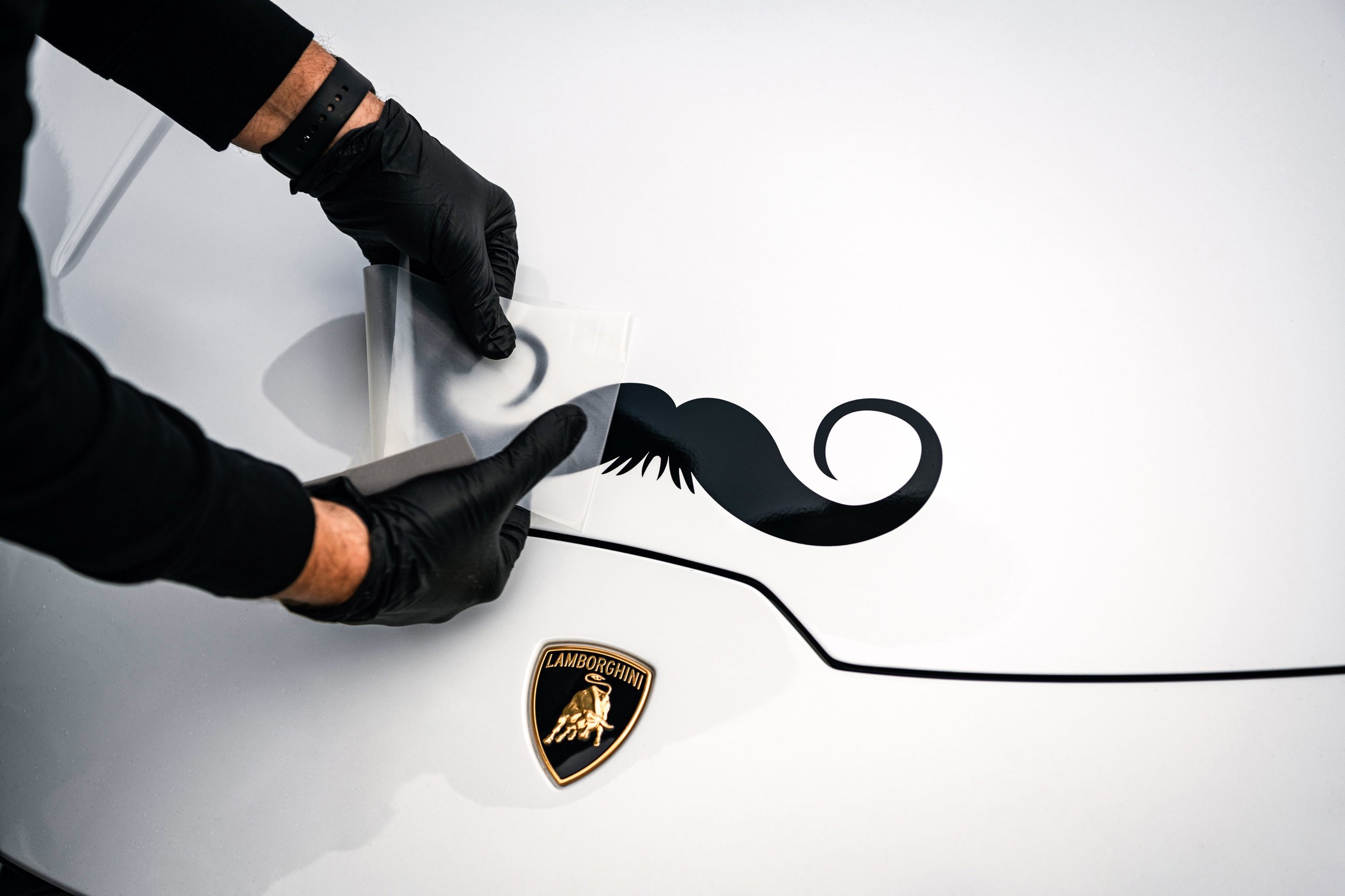 A person wearing black gloves applies a black mustache decal to the white hood of a lamborghini near the brand emblem