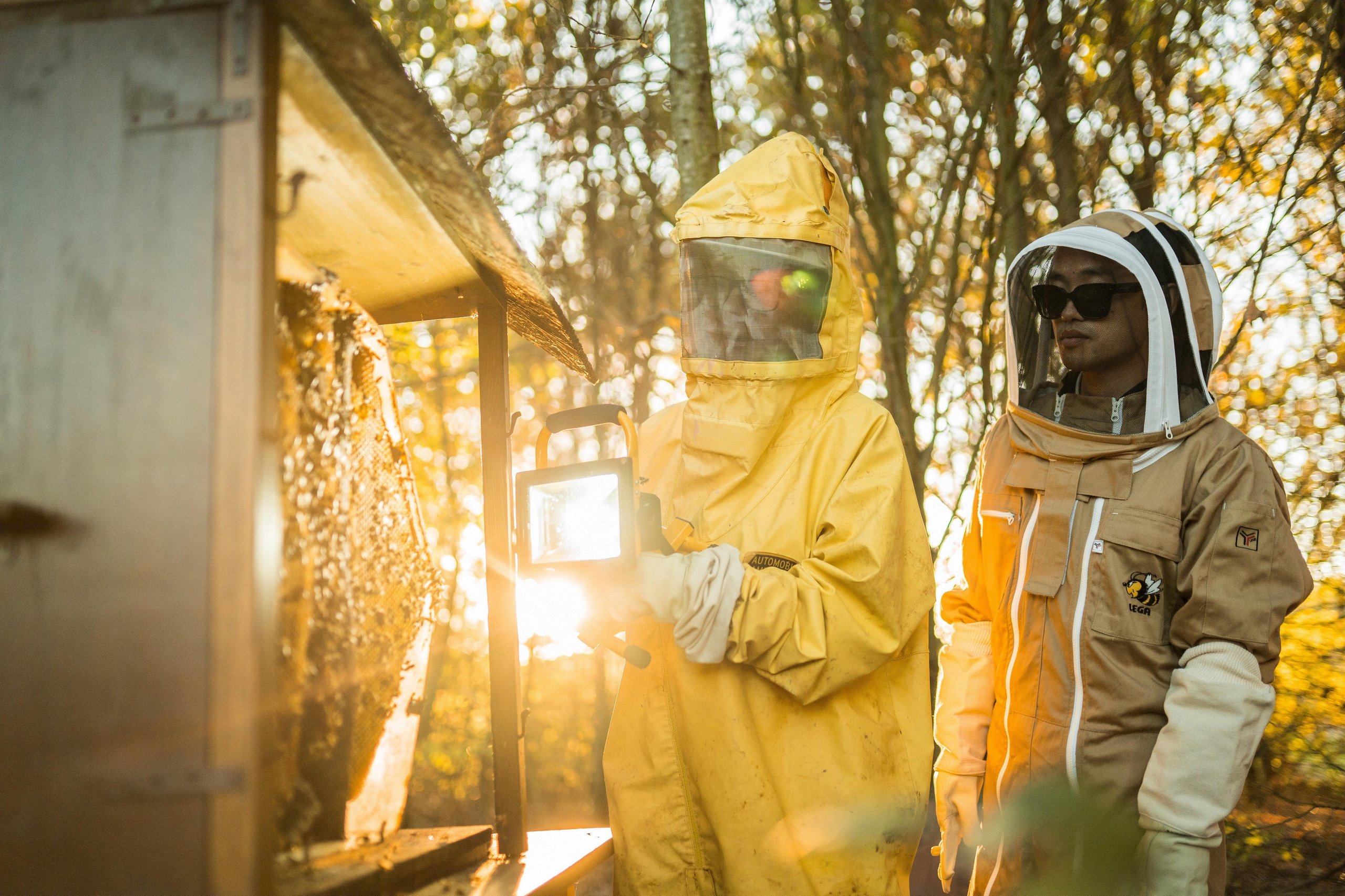 Lamborghini'S Own Employees Voted It A Sustainability Champion, And That Matters More Than The Trophy 5 Two individuals in beekeeping suits inspecting a beehive in a sun-drenched leafy environment at lamborghini's sant'agata bolognese site