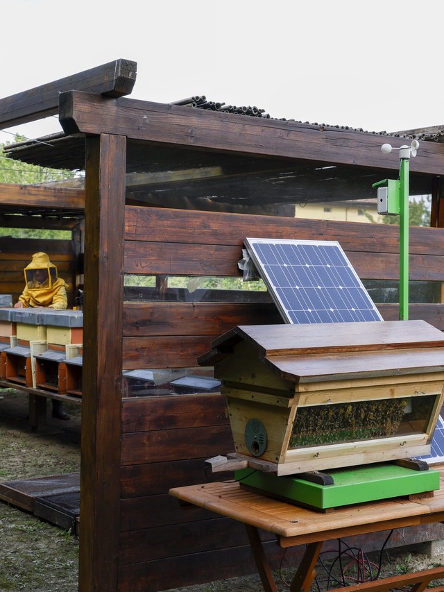 Lamborghini's 600,000 Bees Are Quietly Monitoring the Air Around Sant'Agata Bolognese