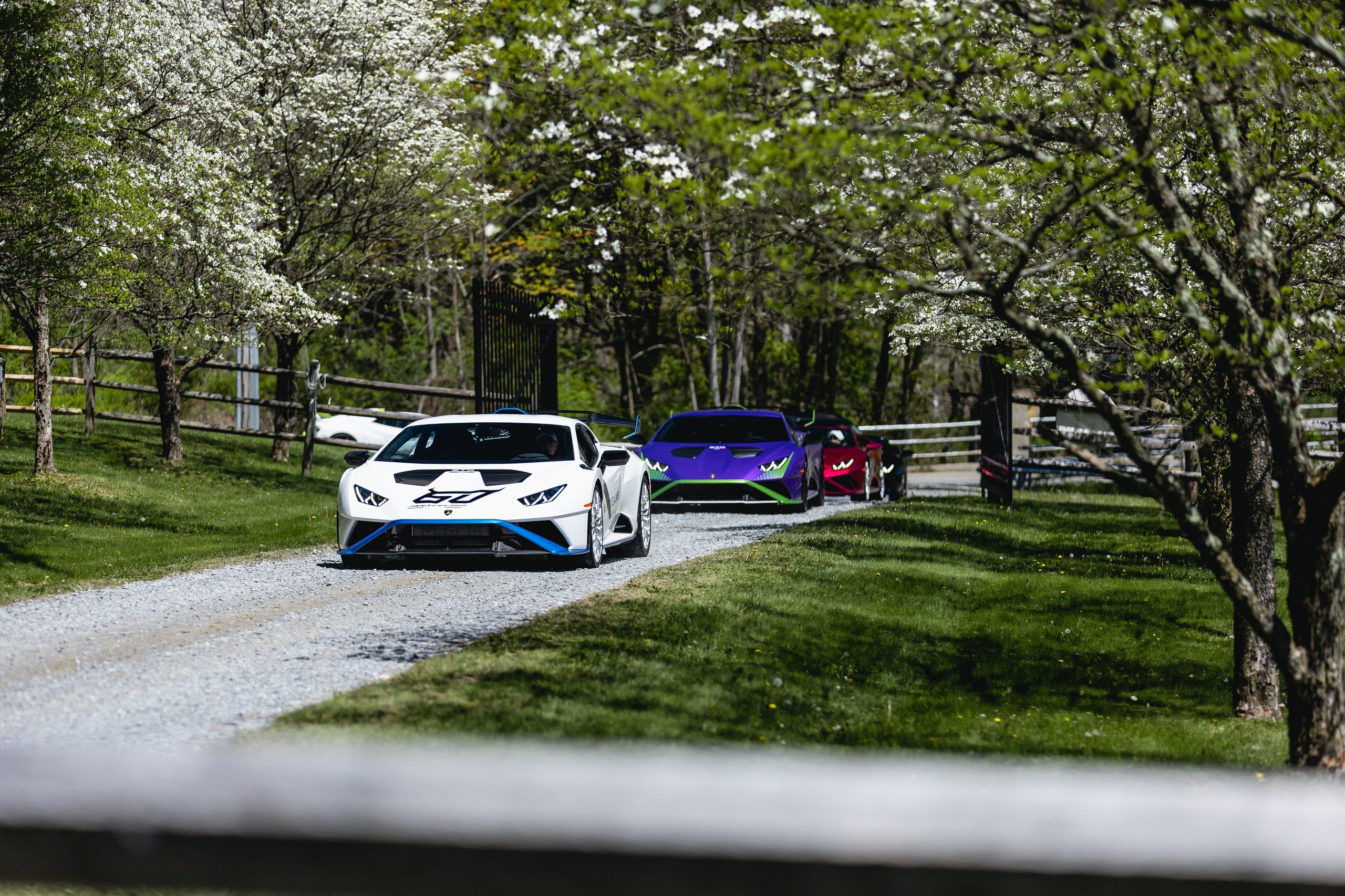 Shedrivesalambo: How Lamborghini Built A Supercar Community No Rival Bothered To Create 3 A white lamborghini huracán sto leads a convoy of colorful lamborghinis down a gravel driveway lined with blooming trees