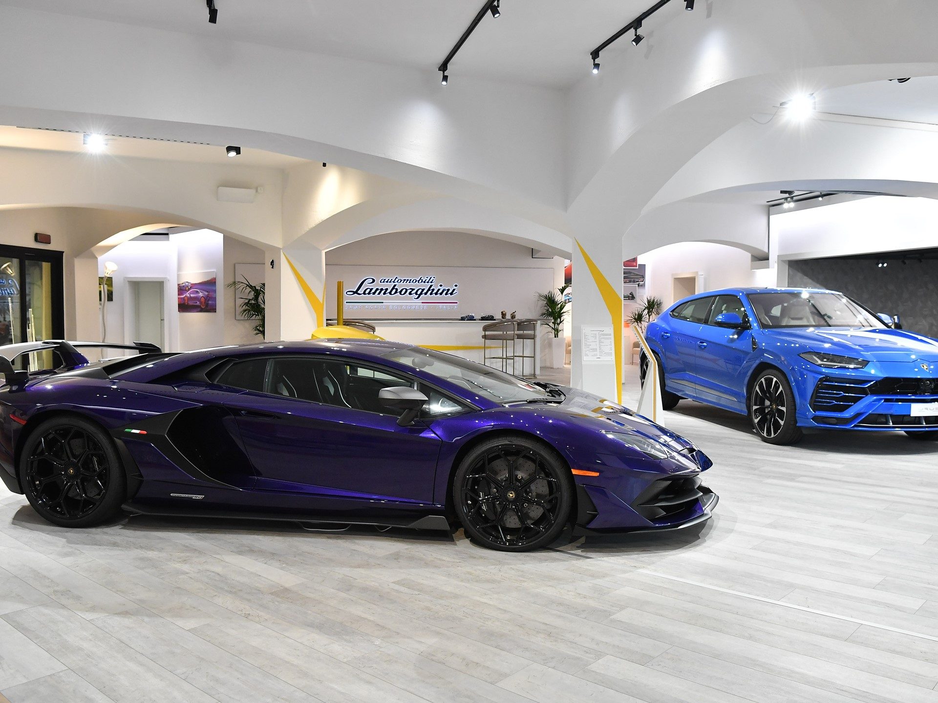 Lamborghini Aventador SVJ in purple and Urus in blue displayed inside the Porto Cervo Lounge showroom