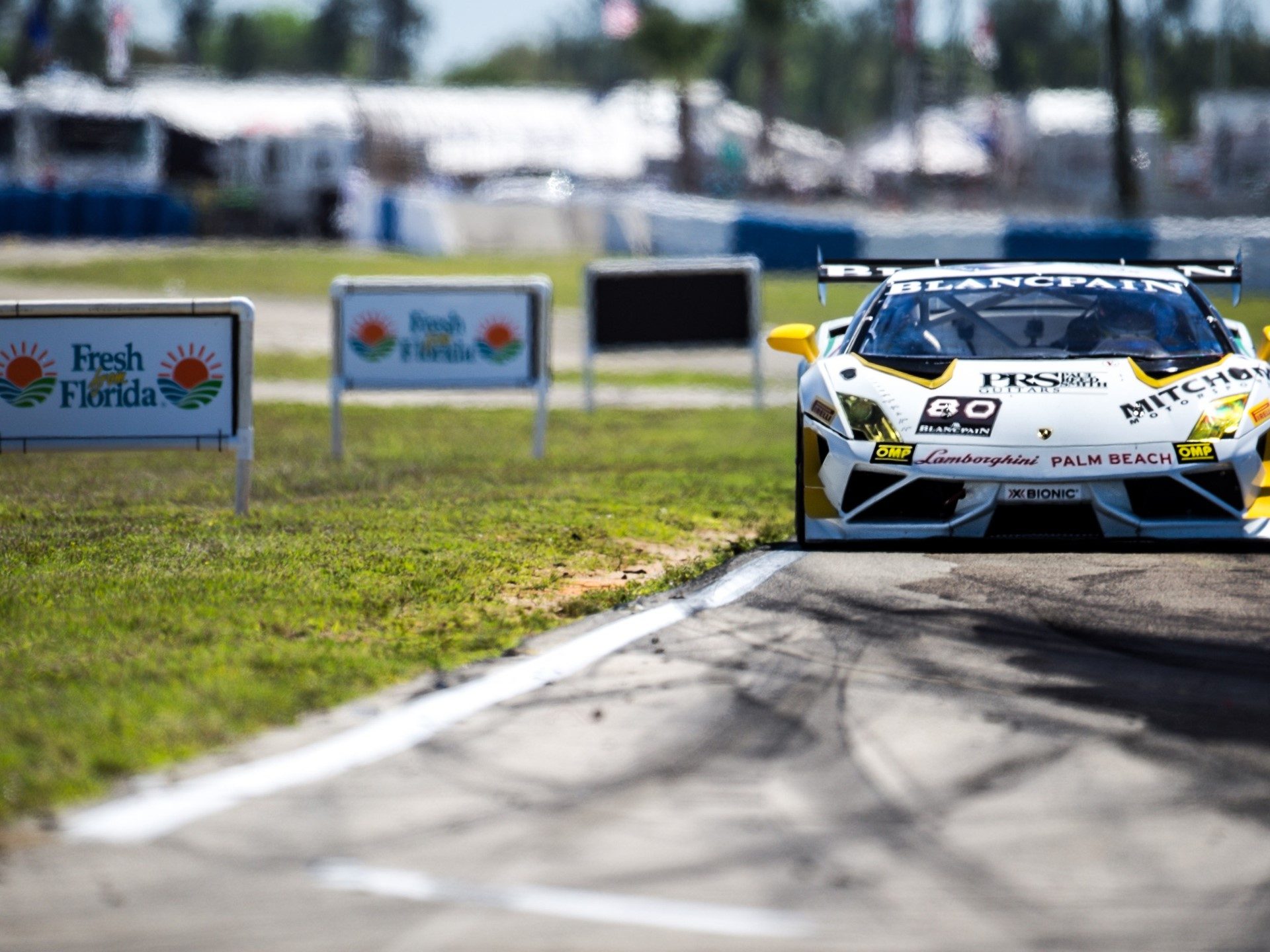 Lamborghini Gallardo Super Trofeo number 80 race car at speed on Sebring circuit with visible rear wing and aerodynamic body kit